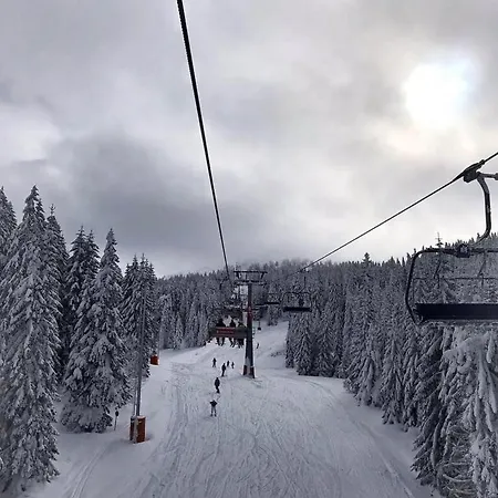 Milmari Future Gold Kopaonik