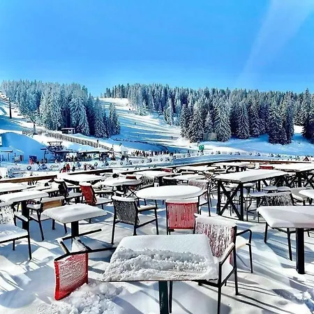 Milmari Future Gold Lägenhet