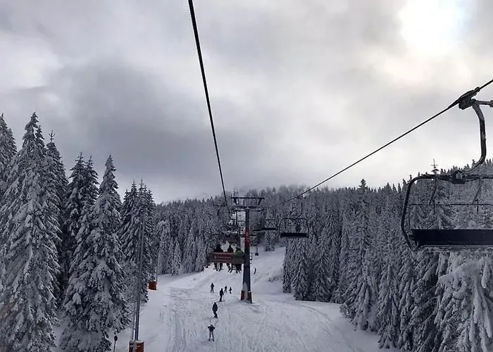 Milmari Future Gold 카파오닉